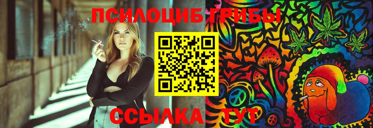 Галлюциногенные грибы Cubensis Смоленск